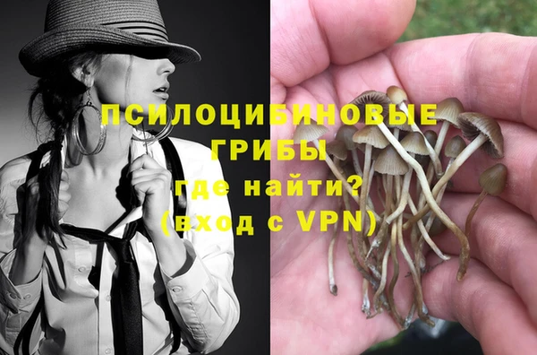 дживик Магадан