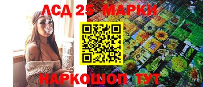 мдма Кингисепп