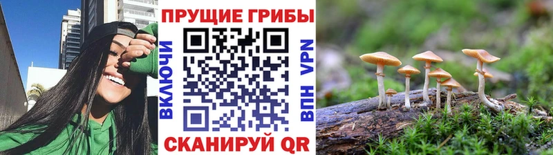 Галлюциногенные грибы Magic Shrooms  Троицк 
