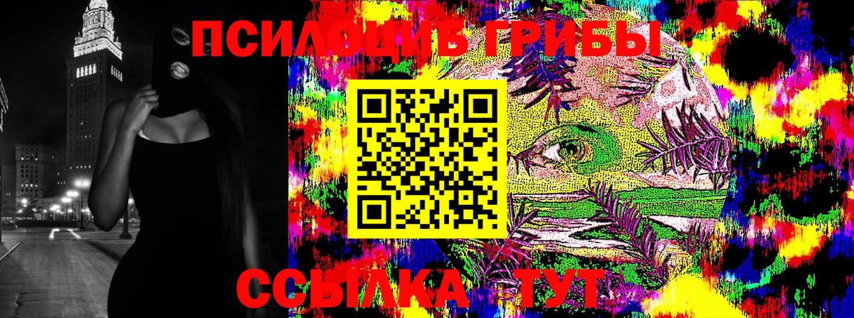 Троицк  Галлюциногенные грибы Psilocybe  Вход с VPN 